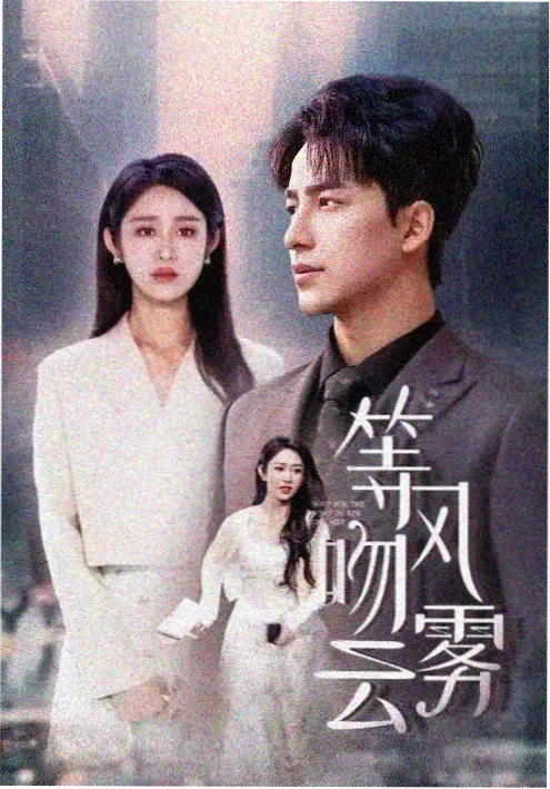 她的第二幕海报
